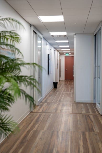 Bright office hallway lined with plants